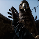 Illustration for article titled Far Cry 4's Worst Animals
